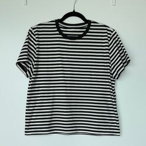Everlane Black and White Stripped Shirt
